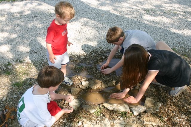 Children Playing Outside In The Park
