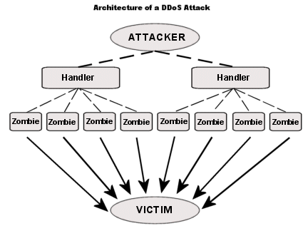 Ddos Attack Program