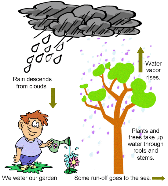 Diagram Of The Water Cycle For Kids