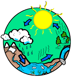 Diagram Of The Water Cycle For Kids
