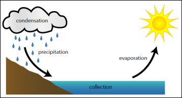 Diagram Of The Water Cycle For Kids To Label