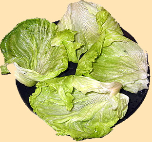 Images Of Lettuce Leaves