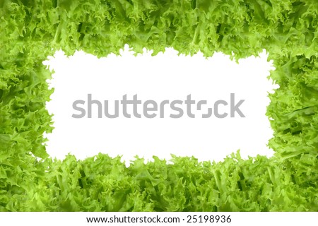 Images Of Lettuce Leaves