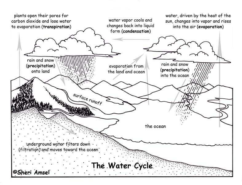Images Of Water Cycle For Kids