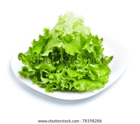 Lettuce Leaf Clip Art