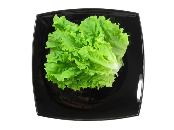 Lettuce Leaf On Plate