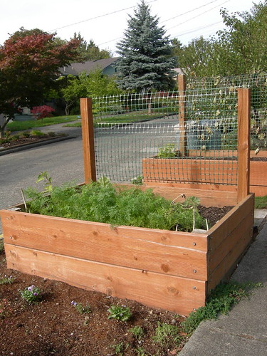 Lettuce Planter Box