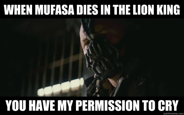 Lion King Simba And Mufasa Meme