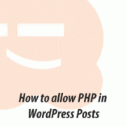 Page.php Wordpress Code