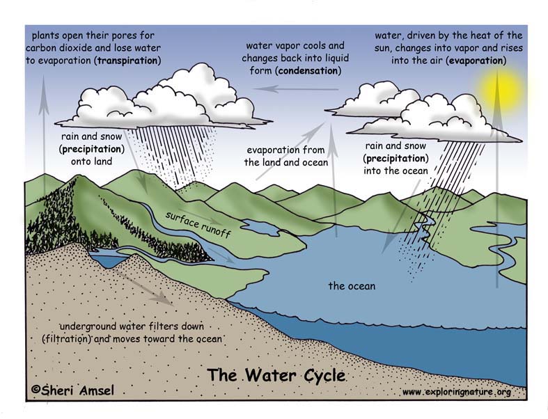 Pictures Of Water Cycle For Kids