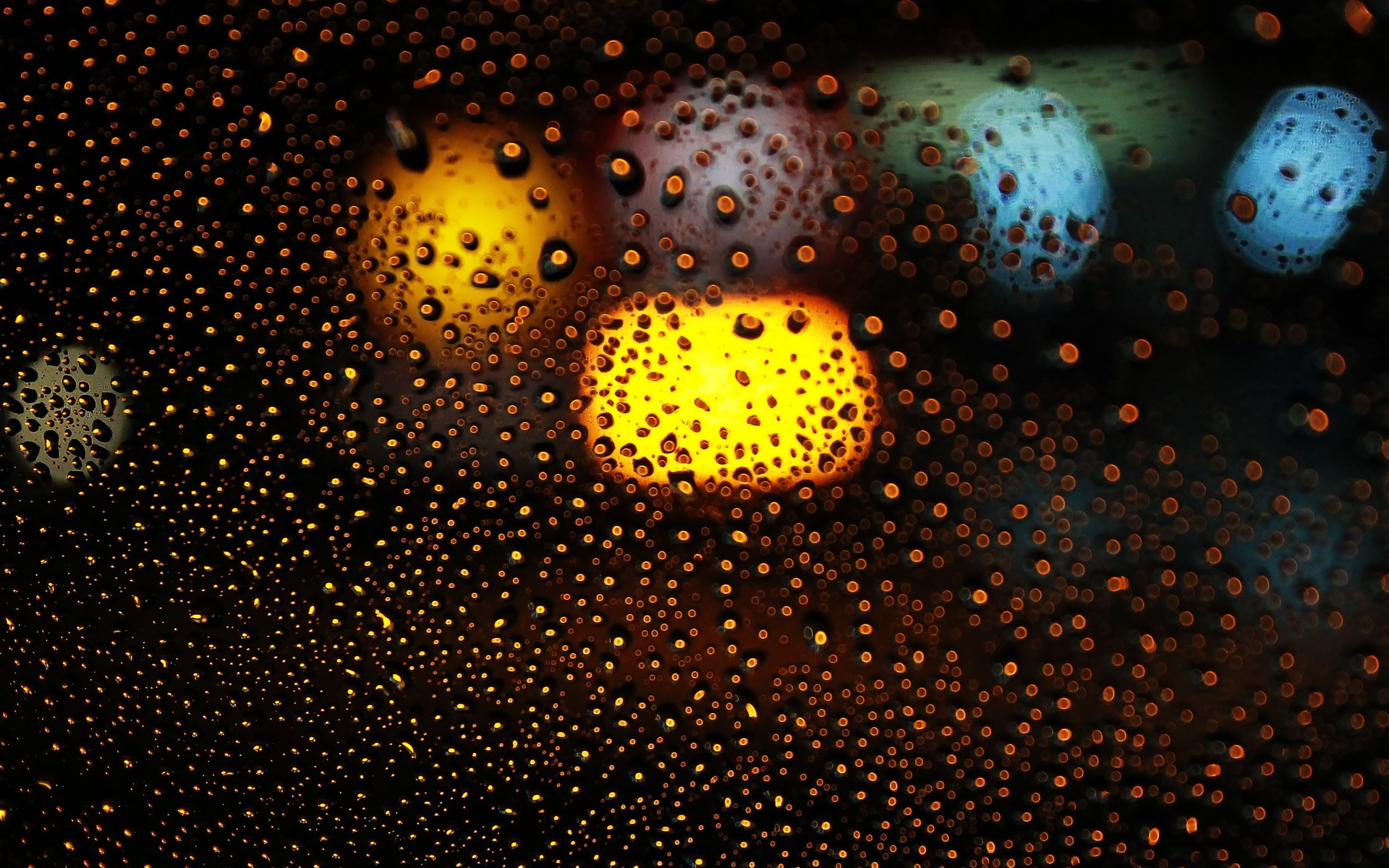 Rain Water Drops Wallpaper