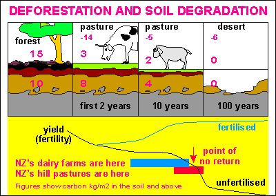 Soil Weathering Process