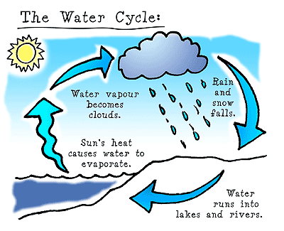 Water Cycle Animation