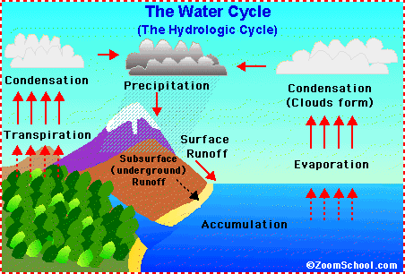 Water Cycle Diagram For Kids Printable