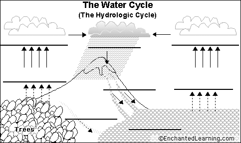 Water Cycle Diagram Labeled For Kids