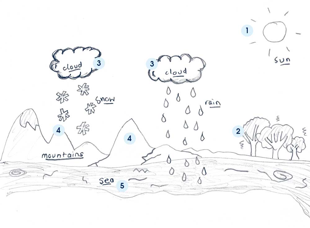 Water Cycle Diagram Labeled For Kids