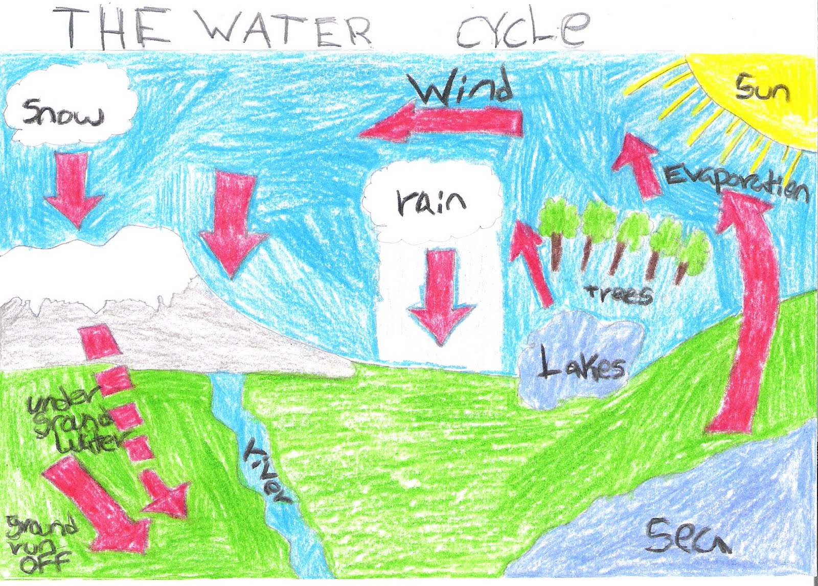 Water Cycle Diagram With Explanation