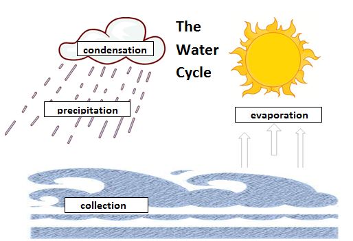 Water Cycle Diagram Without Labels