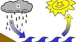 Water Cycle For Kids Video