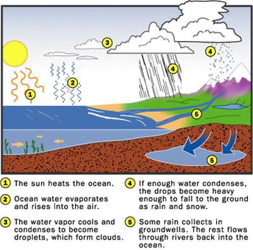 Water Cycle Worksheets For Kids