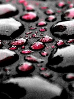 Water Drops Wallpaper For Mobile