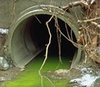 Water Pollution Causes And Effects