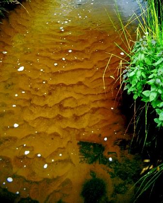 Water Pollution Causes And Effects And How To Prevent It