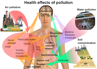 Water Pollution Effects On Plants