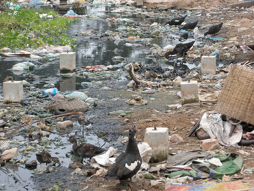 Water Pollution In India Pictures