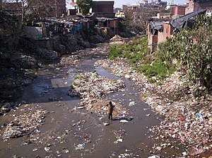 Water Pollution In India Wikipedia